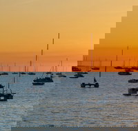 Darwin Shore Excursion Hop-on Hop-off Bus Tour - Gold Coast Attractions