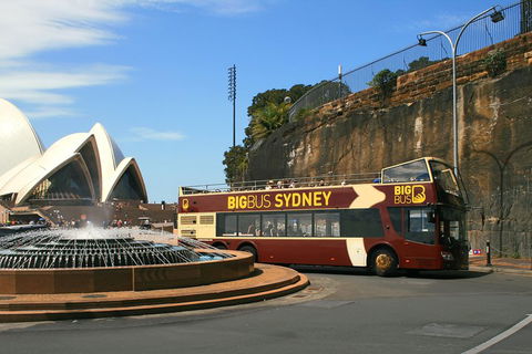 Big Bus Sydney And Bondi Hop-on Hop-off Tour - Gold Coast Attractions 3