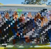 Full Day Mount Tamborine Winery Tour from Gold Coast - Gold Coast Attractions