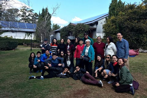 Full Day Mount Tamborine Winery Tour From Brisbane - Gold Coast Attractions 2