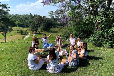 Full Day Mount Tamborine Winery Tour From Brisbane - Gold Coast Attractions 4