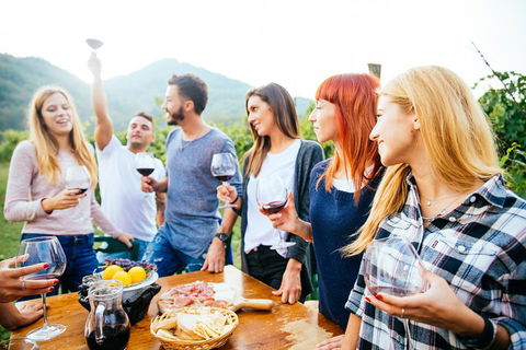 Full Day Mount Tamborine Winery Tour From Brisbane - Gold Coast Attractions 5