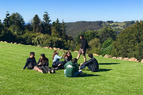 Mt Tamborine - Hinterland Wonders Self Guided - Gold Coast Attractions 1