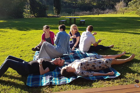 Mt Tamborine - Hinterland Wonders Self Guided - Gold Coast Attractions 2