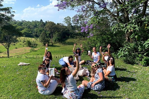 Mt Tamborine - Hinterland Wonders Self Guided - Gold Coast Attractions 5