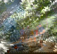 Mossman Gorge Adventure Day - Gold Coast Attractions