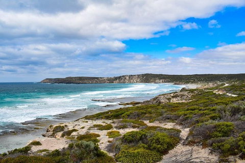 Kangaroo Island Luxury Small Group 'East End Explorer' Full Day Tour - Gold Coast Attractions 0