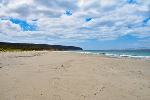 Kangaroo Island Luxury Small Group 'East End Explorer' Full Day Tour - Gold Coast Attractions 3