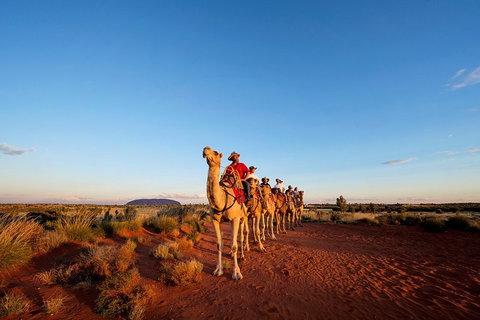 Uluru Small-Group Tour By Camel At Sunrise Or Sunset - Gold Coast Attractions 3