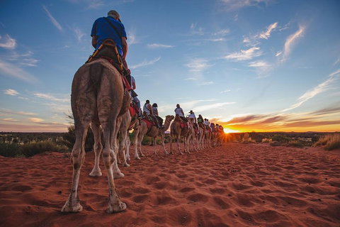 Uluru Small-Group Tour By Camel At Sunrise Or Sunset - Gold Coast Attractions 5
