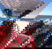 Adventure Rottnest Tour with Ferry  Adventure Cruise from Perth or Fremantle - Gold Coast Attractions