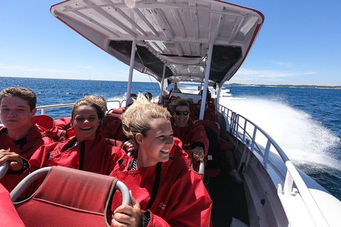 Adventure Rottnest Tour With Ferry & Adventure Cruise From Perth Or Fremantle - Gold Coast Attractions 0