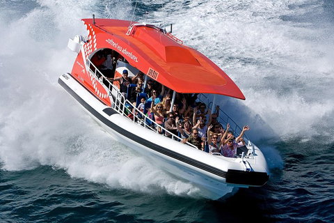 Adventure Rottnest Tour With Ferry & Adventure Cruise From Perth Or Fremantle - Gold Coast Attractions 2