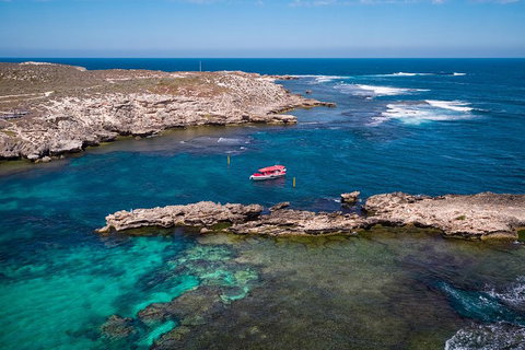Adventure Rottnest Tour With Ferry & Adventure Cruise From Perth Or Fremantle - Gold Coast Attractions 3