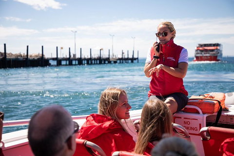 Adventure Rottnest Tour With Ferry & Adventure Cruise From Perth Or Fremantle - Gold Coast Attractions 4