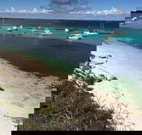 Experience Rottnest with Ferry  Bike Hire from Perth or Fremantle - Gold Coast Attractions