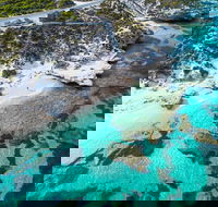 Rottnest Island Round-Trip Ferry from Perth or Fremantle - Gold Coast Attractions