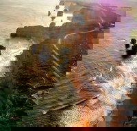 Full-Day Great Ocean Road and 12 Apostles Sunset Tour from Melbourne - Gold Coast Attractions