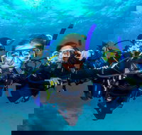 Great Barrier Reef Diving and Snorkeling Cruise from Cairns - Gold Coast Attractions