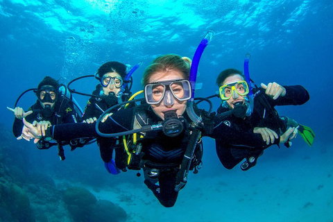 Great Barrier Reef Diving And Snorkeling Cruise From Cairns - Gold Coast Attractions 0