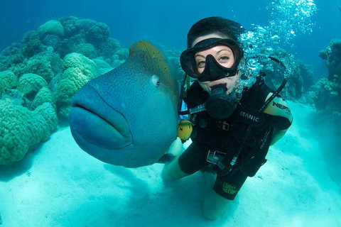 Great Barrier Reef Diving And Snorkeling Cruise From Cairns - Gold Coast Attractions 2