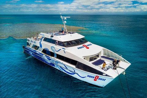 Great Barrier Reef Diving And Snorkeling Cruise From Cairns - Gold Coast Attractions 5