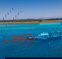 Ocean Free Green Island  Great Barrier Reef Snorkel Cruise Cairns 25 guests - Gold Coast Attractions