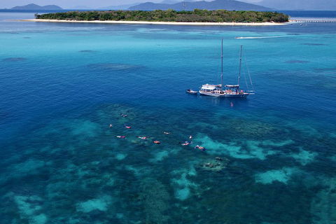 Ocean Free Green Island & Great Barrier Reef Snorkel Cruise, Cairns 25 Guests - Gold Coast Attractions 2