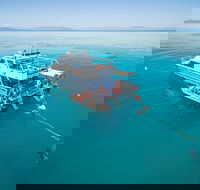 Ocean Freedom Great Barrier Reef Personal Luxury Snorkel  Dive Cruise Cairns - Gold Coast Attractions