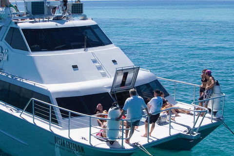 Ocean Freedom Great Barrier Reef Personal Luxury Snorkel & Dive Cruise, Cairns - Gold Coast Attractions 1