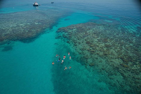 Ocean Freedom Great Barrier Reef Personal Luxury Snorkel & Dive Cruise, Cairns - Gold Coast Attractions 3