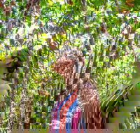 5 Day Australia Retreat Queensland Daintree - Gold Coast Attractions