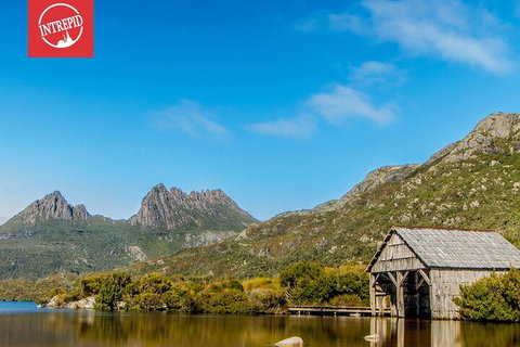 6 Day Trek The Cradle Mountain Overland Track - Gold Coast Attractions 1