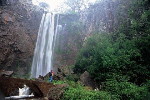 Brisbane Day In The Country Full-Day Small-Group Tour With Lunch - Gold Coast Attractions 3