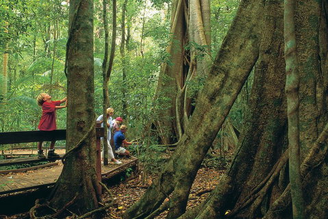 Full Day Small Group Luxury Tour To Tamborine Mountain - Gold Coast Attractions 1