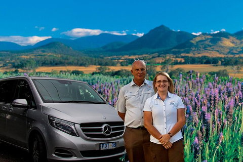 Full Day Small Group Luxury Tour To Tamborine Mountain - Gold Coast Attractions 3