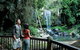 Full Day Small Group Luxury Tour To Tamborine Mountain - thumb 4