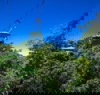 Classic Kuranda by Skyrail and Scenic Railway Including Rainforestation Koala and Wildlife Park and Pamagirri Aboriginal Experi - Gold Coast Attractions