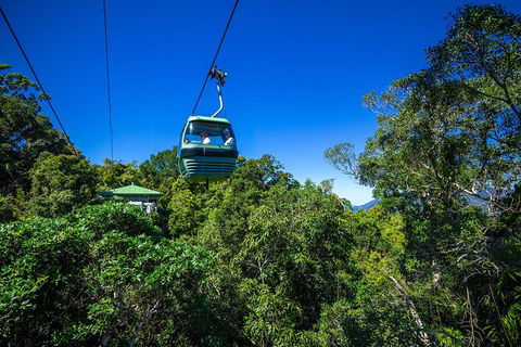 Classic Kuranda By Skyrail And Scenic Railway Including Rainforestation, Koala And Wildlife Park And Pamagirri Aboriginal Experi - Gold Coast Attractions 0