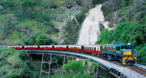 Classic Kuranda By Skyrail And Scenic Railway Including Rainforestation, Koala And Wildlife Park And Pamagirri Aboriginal Experi - Gold Coast Attractions 1