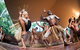 Kuranda Highlights Including Rainforestation Aboriginal Culture And Wildlife - thumb 1