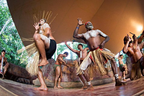 Kuranda Highlights Including Rainforestation Aboriginal Culture And Wildlife - Gold Coast Attractions 1