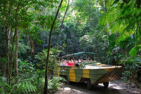 Kuranda Highlights Including Rainforestation Aboriginal Culture And Wildlife - Gold Coast Attractions 2