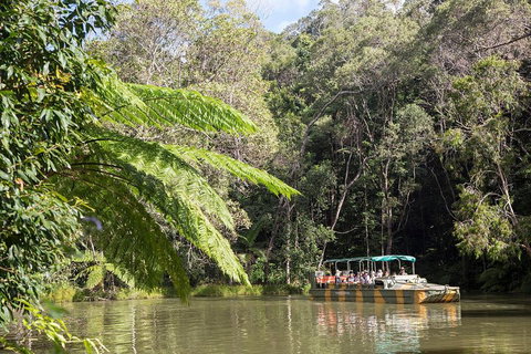 Kuranda Village, Army Duck Tour With Train And Skyrail (KDB) - Gold Coast Attractions 4