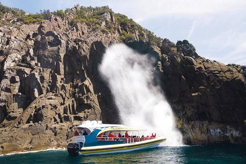 Full-Day Bruny Island Cruises Day Tour From Hobart - Gold Coast Attractions 4