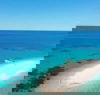 Ocean Safari Great Barrier Reef Experience in Cape Tribulation - Gold Coast Attractions