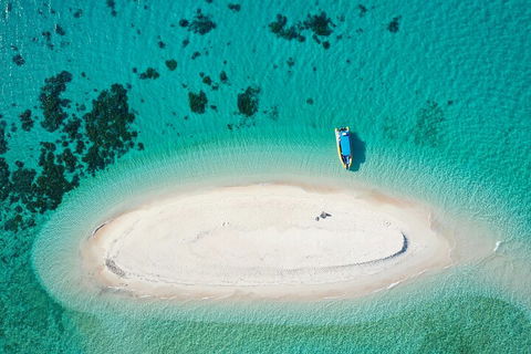 Ocean Safari Great Barrier Reef Experience In Cape Tribulation - Gold Coast Attractions 3