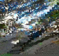 1/2 day Swan Valley Wine Cheese  Chocolate Tour Inc Afternoon Cruise to Perth - Gold Coast Attractions