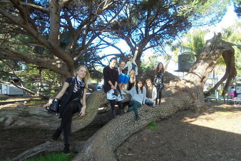 1/2 Day Swan Valley Wine Cheese & Chocolate Tour Inc Afternoon Cruise To Perth - Gold Coast Attractions 0