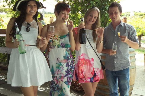 1/2 Day Swan Valley Wine Cheese & Chocolate Tour Inc Afternoon Cruise To Perth - Gold Coast Attractions 4